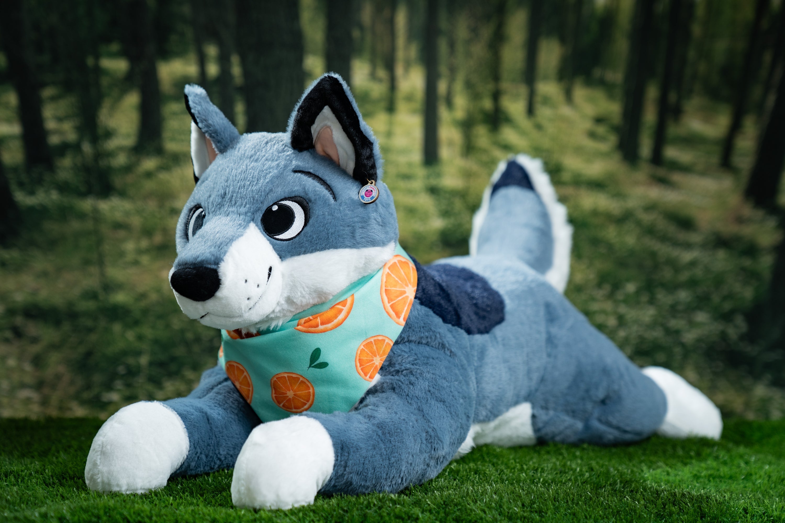 slider image slider_item_BkN899