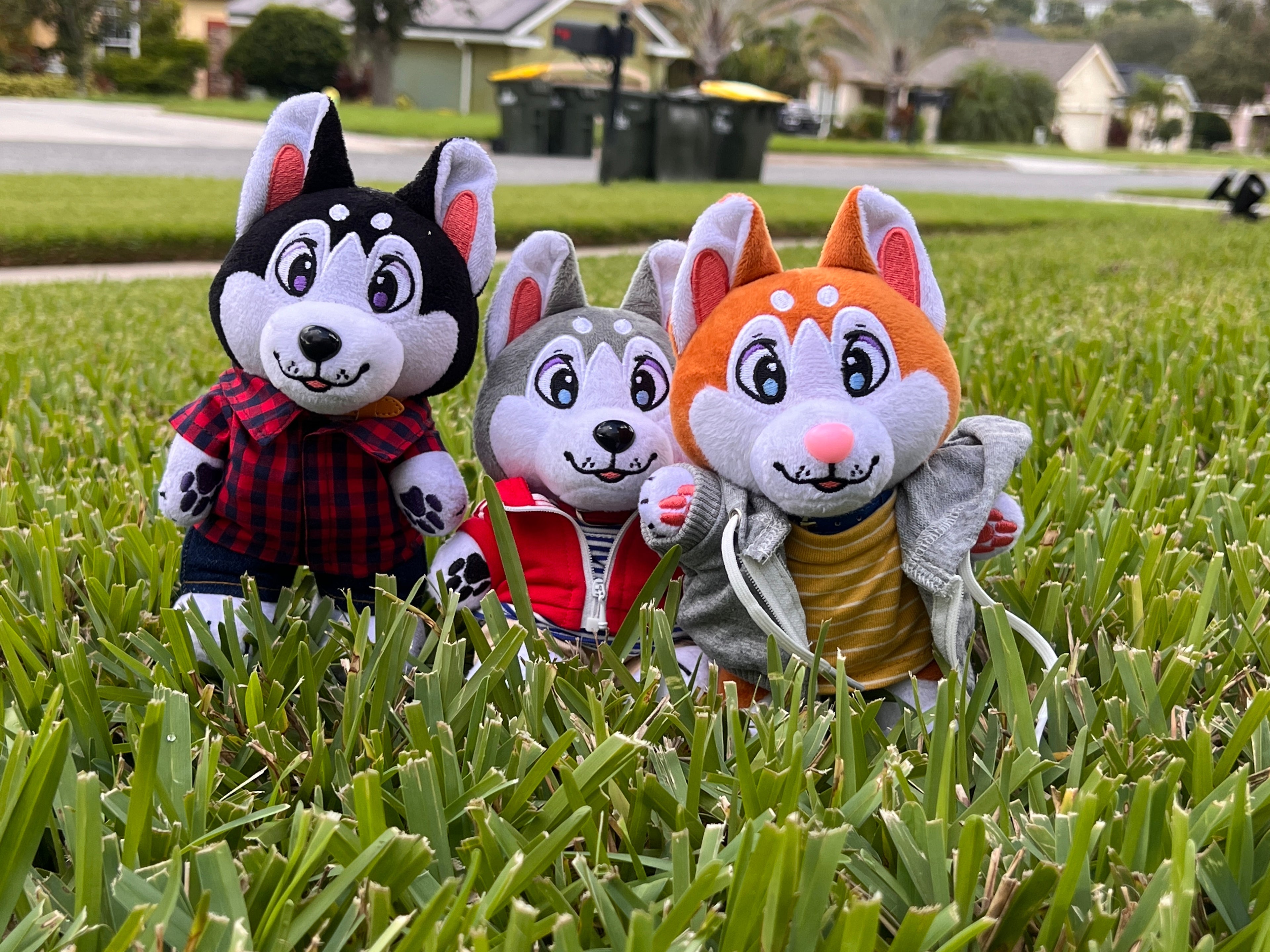 slider image slider_item_NXVjdq